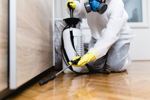 Best Local Pest Control Services  in Bella Vista, AR