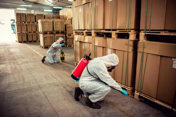 Best Wildlife Control Services  in Bella Vista, AR