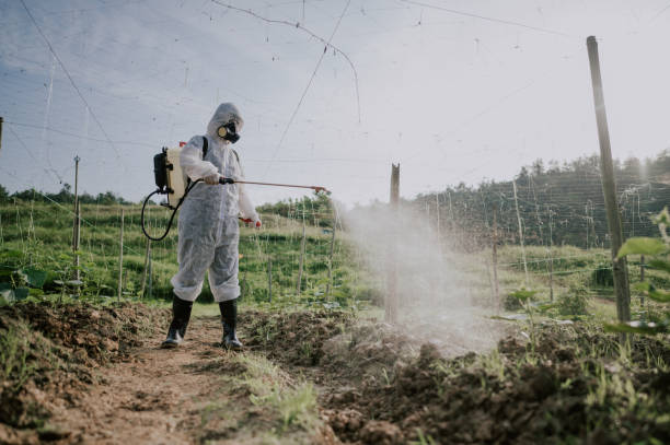 Best Affordable Pest Control Services  in Bella Vista, AR