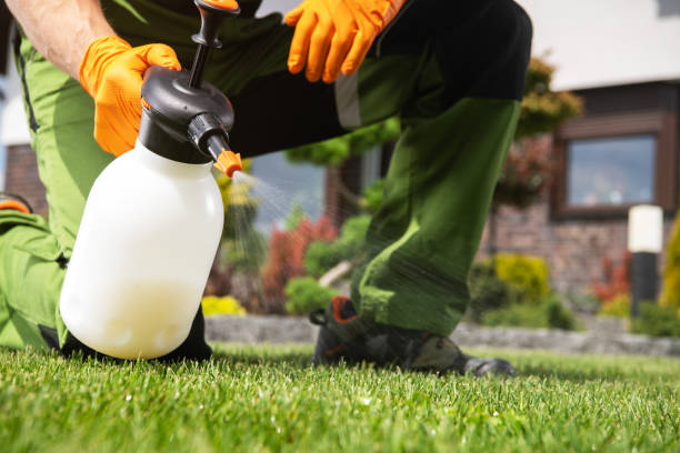 Best Pest Prevention Services  in Bella Vista, AR