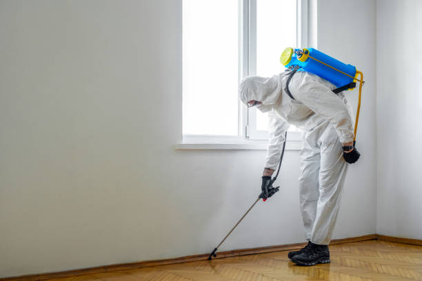 Best Pest Inspection Near Me  in Bella Vista, AR