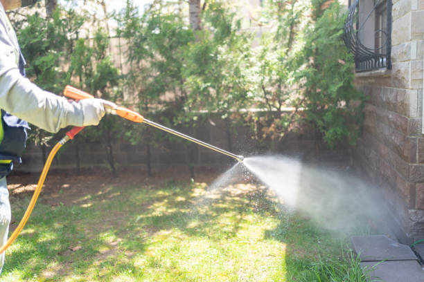 Professional Pest Control in Bella Vista, AR