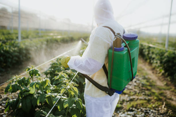 Best Pest Control Near Me in Bella Vista, AR